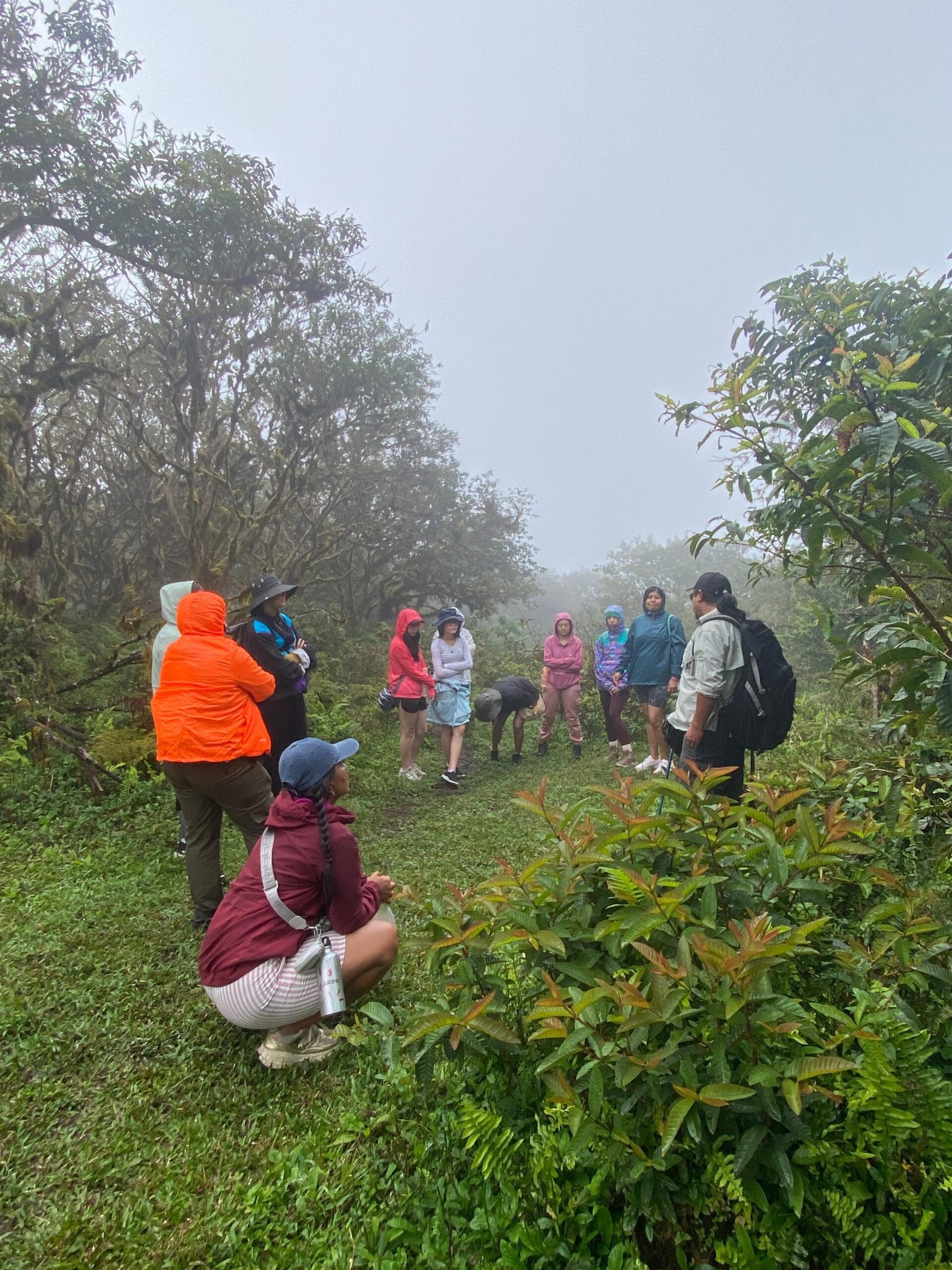 WhatsApp Image 2025-07-04 at 7.43.53 PM